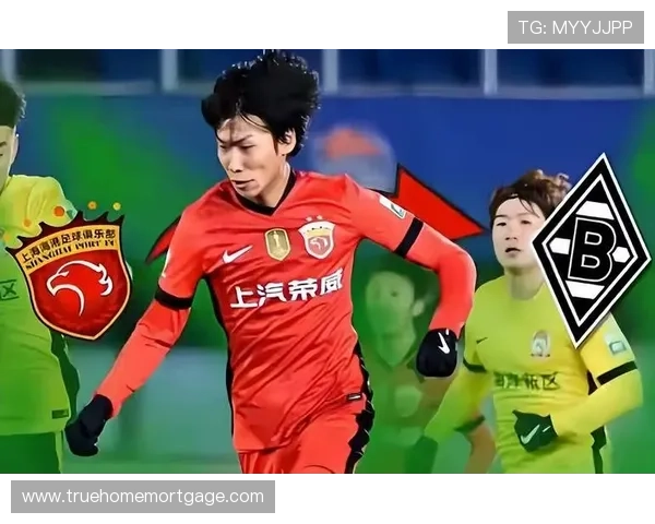 德甲豪门引进新星，持续提升球队竞争力分析