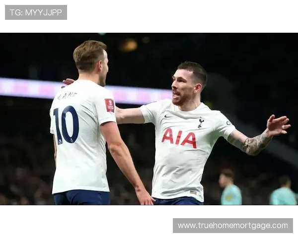 霍伊别尔职业生涯轨迹：从南安普顿到热刺的中场成长之路