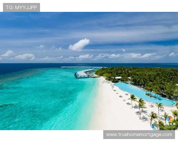 大阪刚在马尔代夫买岛，说是为了“安静训练”