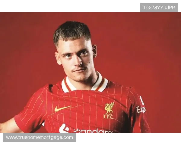 维尔茨的战术角色与个人能力如何体现